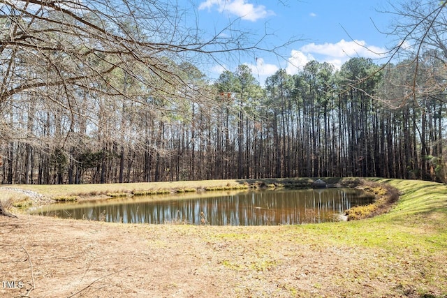 property view of water with a view of trees