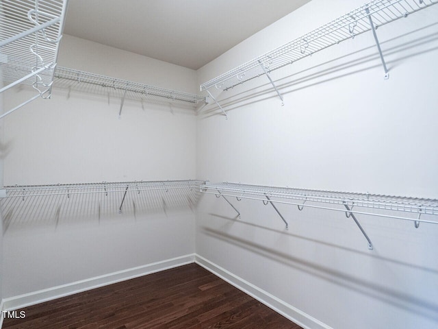 spacious closet featuring dark wood-style floors