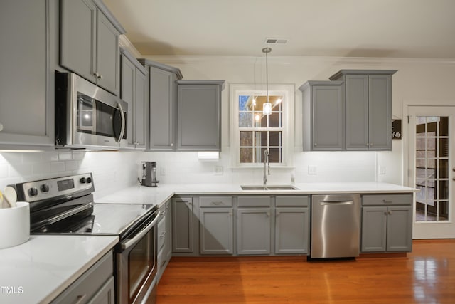 kitchen featuring stainless steel appliances, gray cabinets, and a sink