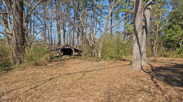 view of yard featuring a view of trees