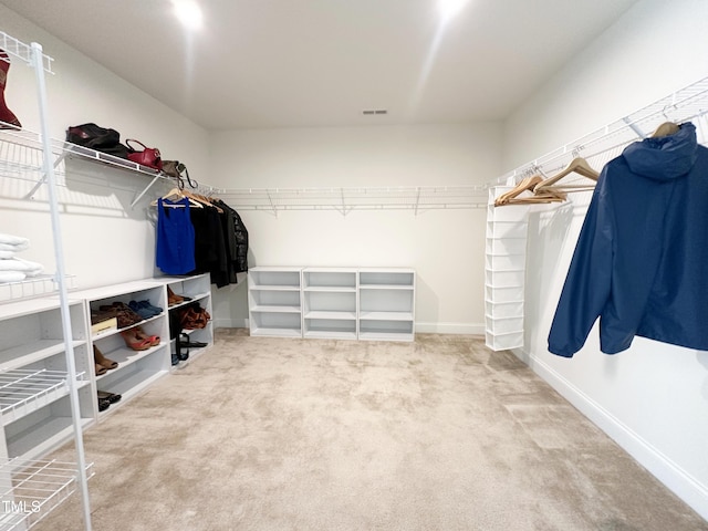 walk in closet with carpet floors