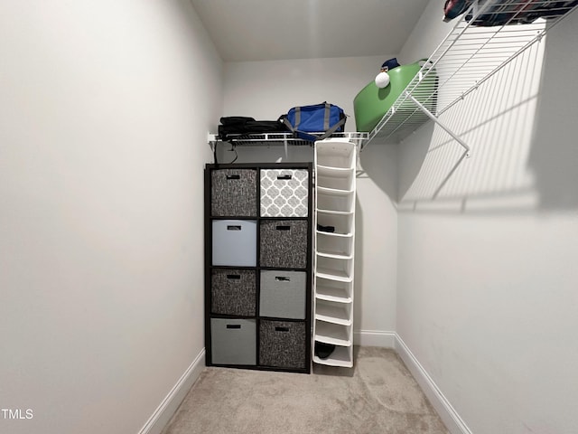 spacious closet featuring carpet floors