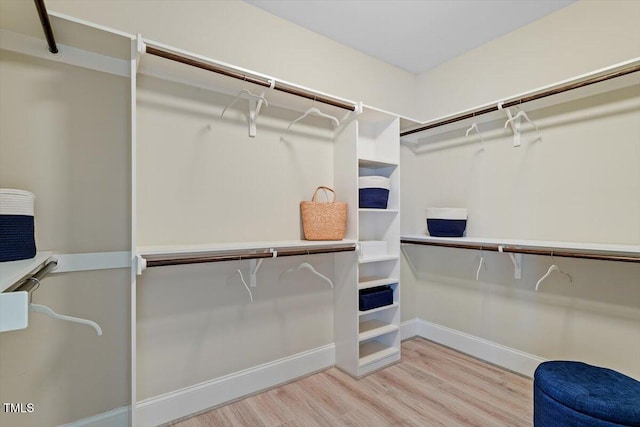 spacious closet with wood finished floors