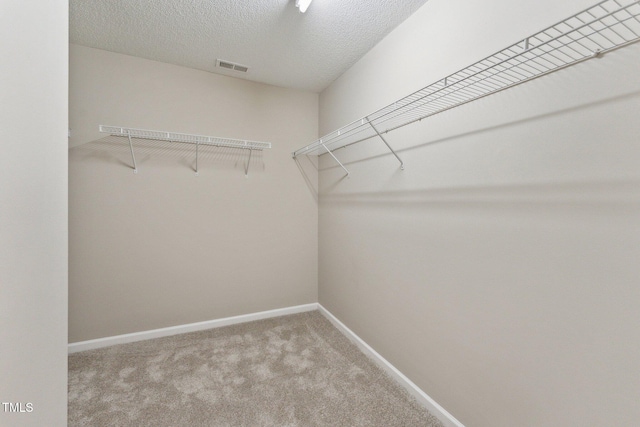 walk in closet with visible vents and carpet flooring