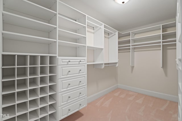 spacious closet with light carpet