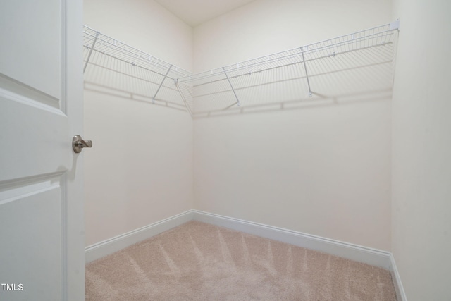 131 Wildflower Cir, Clayton, NC 27520 - walk in closet featuring carpet flooring