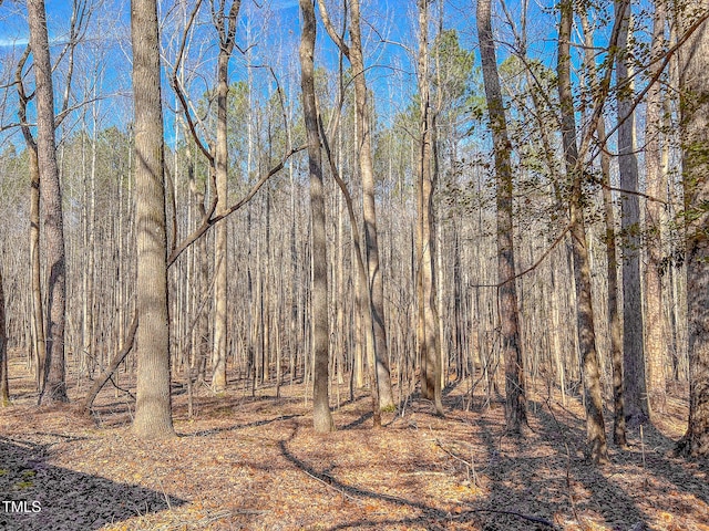 view of nature with a wooded view