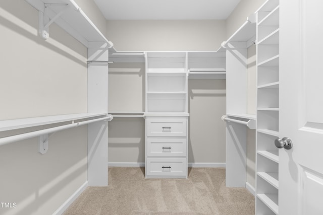 spacious closet with light carpet