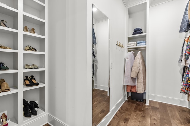 walk in closet featuring dark wood-style floors