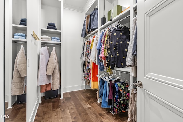 spacious closet featuring wood finished floors