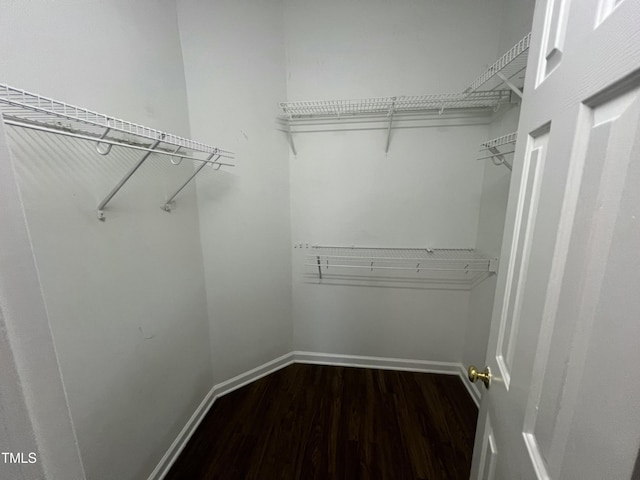 walk in closet with dark wood-style floors