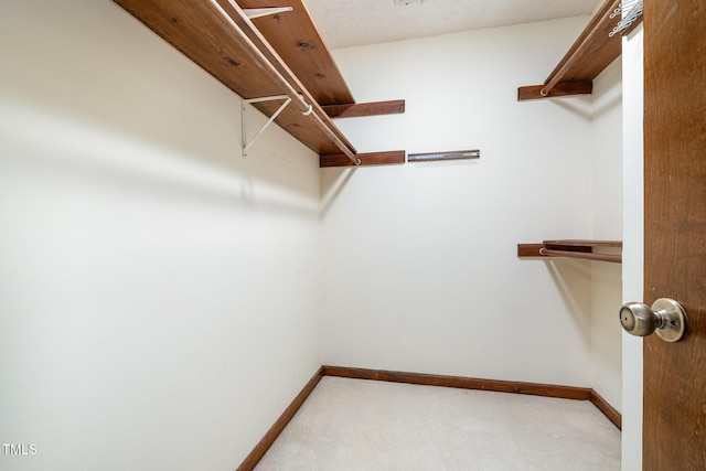 spacious closet featuring carpet floors