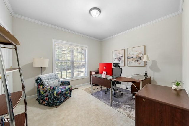 office space featuring ornamental molding, carpet flooring, and baseboards