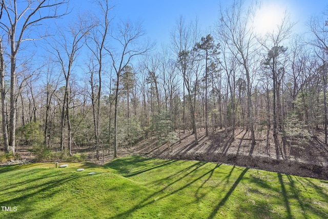 view of yard featuring a view of trees