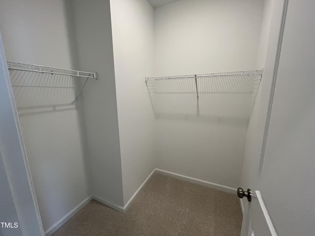 walk in closet featuring carpet