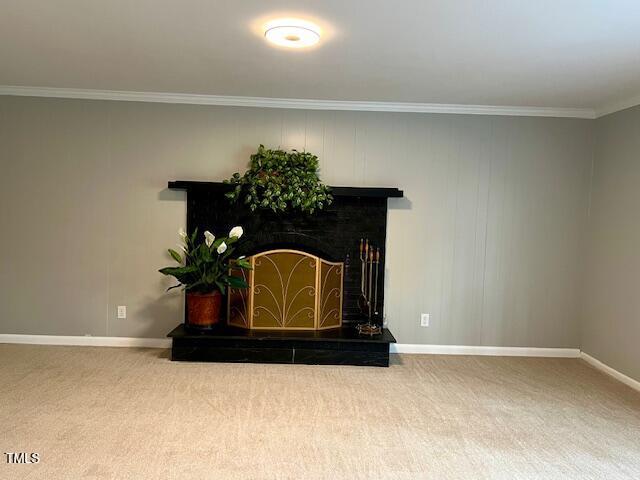 details featuring carpet floors, a fireplace with raised hearth, crown molding, and baseboards