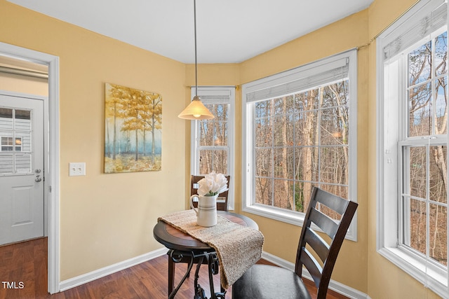 dining space featuring baseboards and dark wood-style flooring