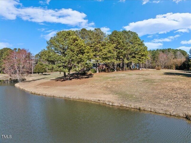 615 Woodland Trl, Louisburg, NC 27549 - photo 23