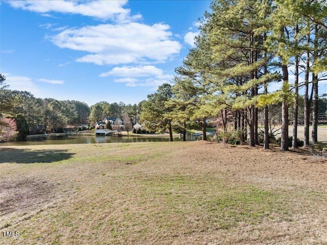 615 Woodland Trl, Louisburg, NC 27549 - photo 25