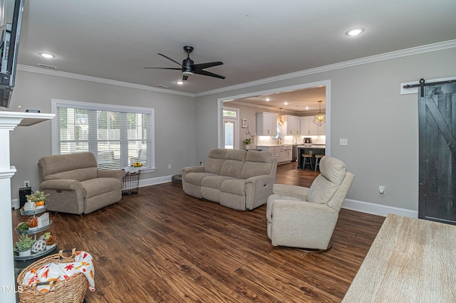 living room with a barn door, dark wood finished floors, a wealth of natural light, and baseboards