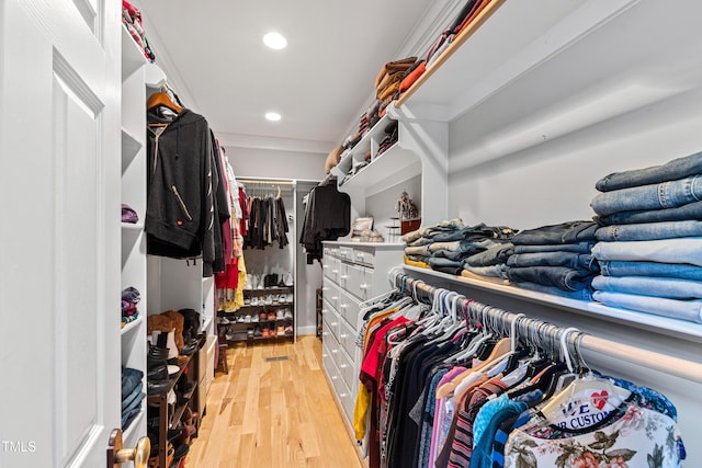 spacious closet with light wood-type flooring