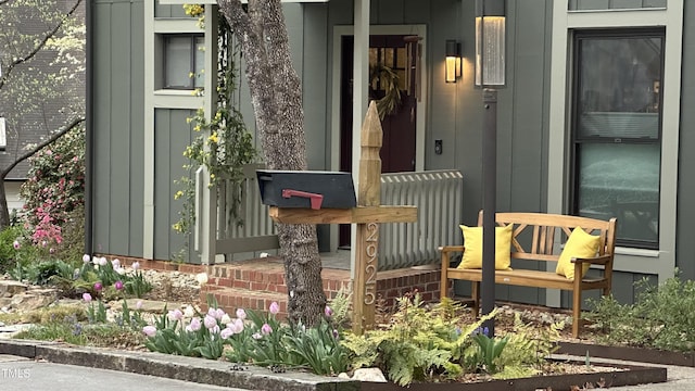 doorway to property with board and batten siding