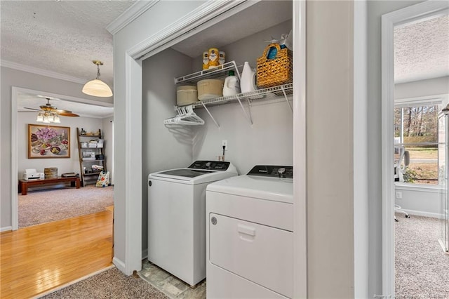 clothes washing area featuring washer and dryer, light carpet, crown molding, and a textured ceiling