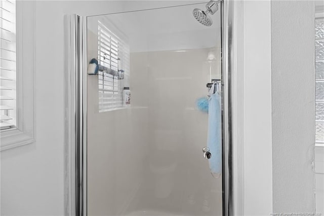 bathroom with a stall shower