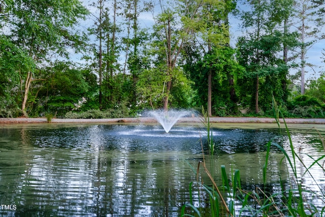 131 Cricketgrass Dr, Cary, NC 27513 - water view