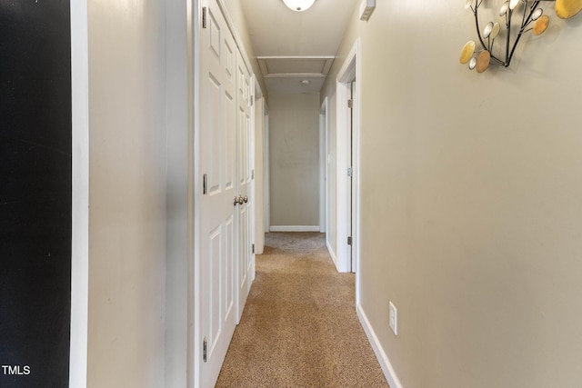 hall with carpet floors, attic access, and baseboards