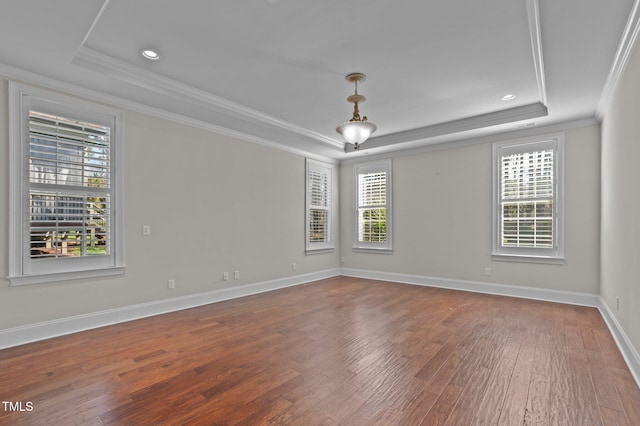 unfurnished room with a tray ceiling, wood finished floors, a healthy amount of sunlight, and baseboards