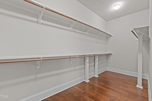 walk in closet with dark wood-style flooring