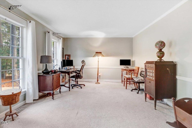 office space with baseboards, crown molding, and carpet flooring