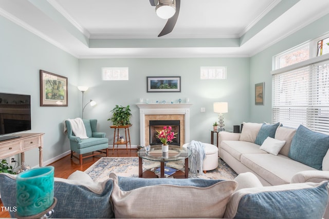 living area with a fireplace, a raised ceiling, and a wealth of natural light