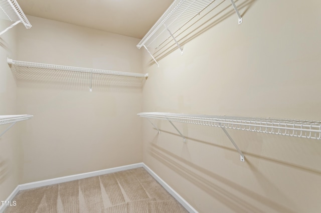 spacious closet featuring carpet floors