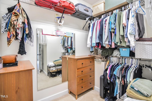 spacious closet featuring light carpet