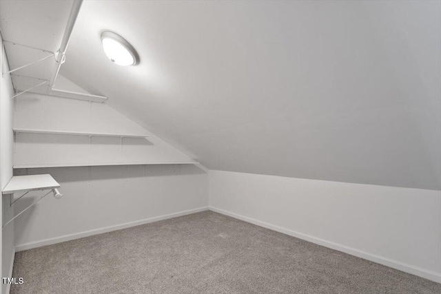 spacious closet with carpet floors and lofted ceiling