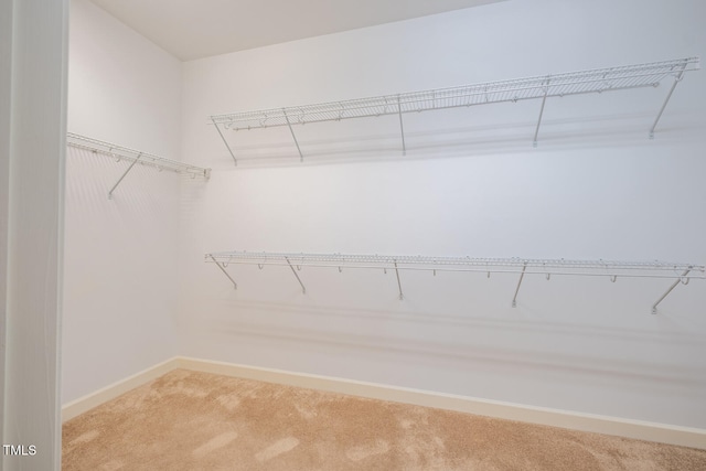 spacious closet with light carpet