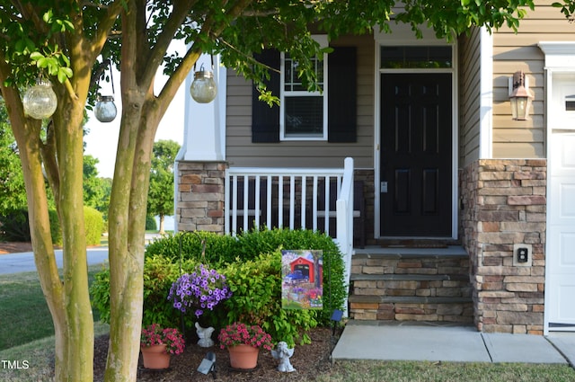 property entrance featuring stone siding