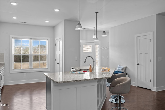 kitchen featuring dark wood-type flooring, a sink, and a healthy amount of sunlight