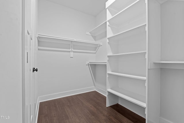 spacious closet with wood finished floors