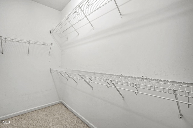 walk in closet with light carpet