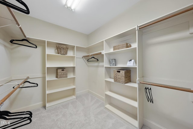 spacious closet with carpet