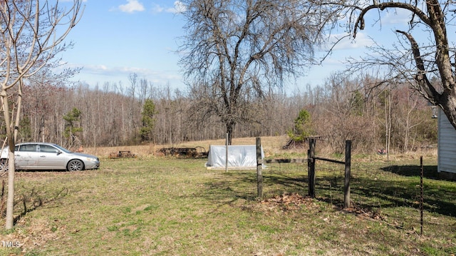 2710 Morton Pulliam Rd, Roxboro, NC 27574 - view of yard featuring a view of trees