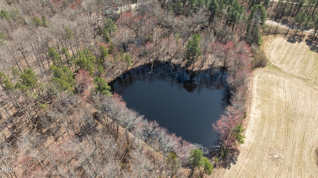 2710 Morton Pulliam Rd, Roxboro, NC 27574 - aerial view of a nearby body of water