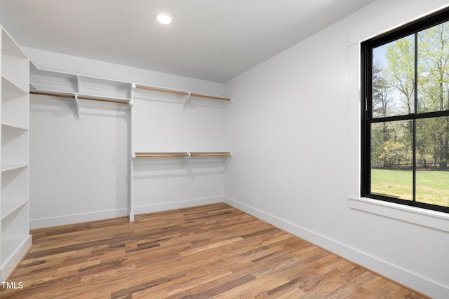 spacious closet with light wood-style floors