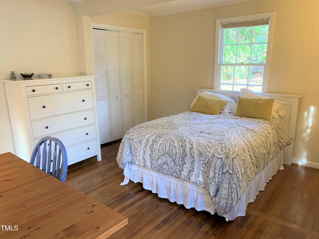 bedroom featuring dark wood-type flooring, a closet, and baseboards