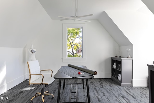 interior space featuring lofted ceiling, wood finished floors, and baseboards