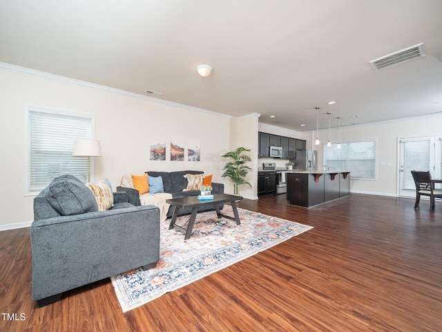 living area featuring ornamental molding, visible vents, and dark wood finished floors