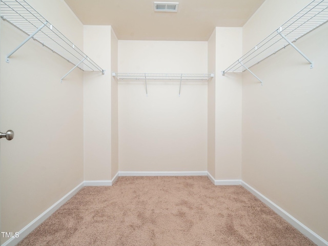 spacious closet featuring carpet floors and visible vents